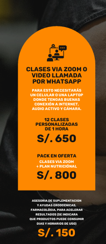 plan de entrenamiento via Zoom dirigido en vivo
